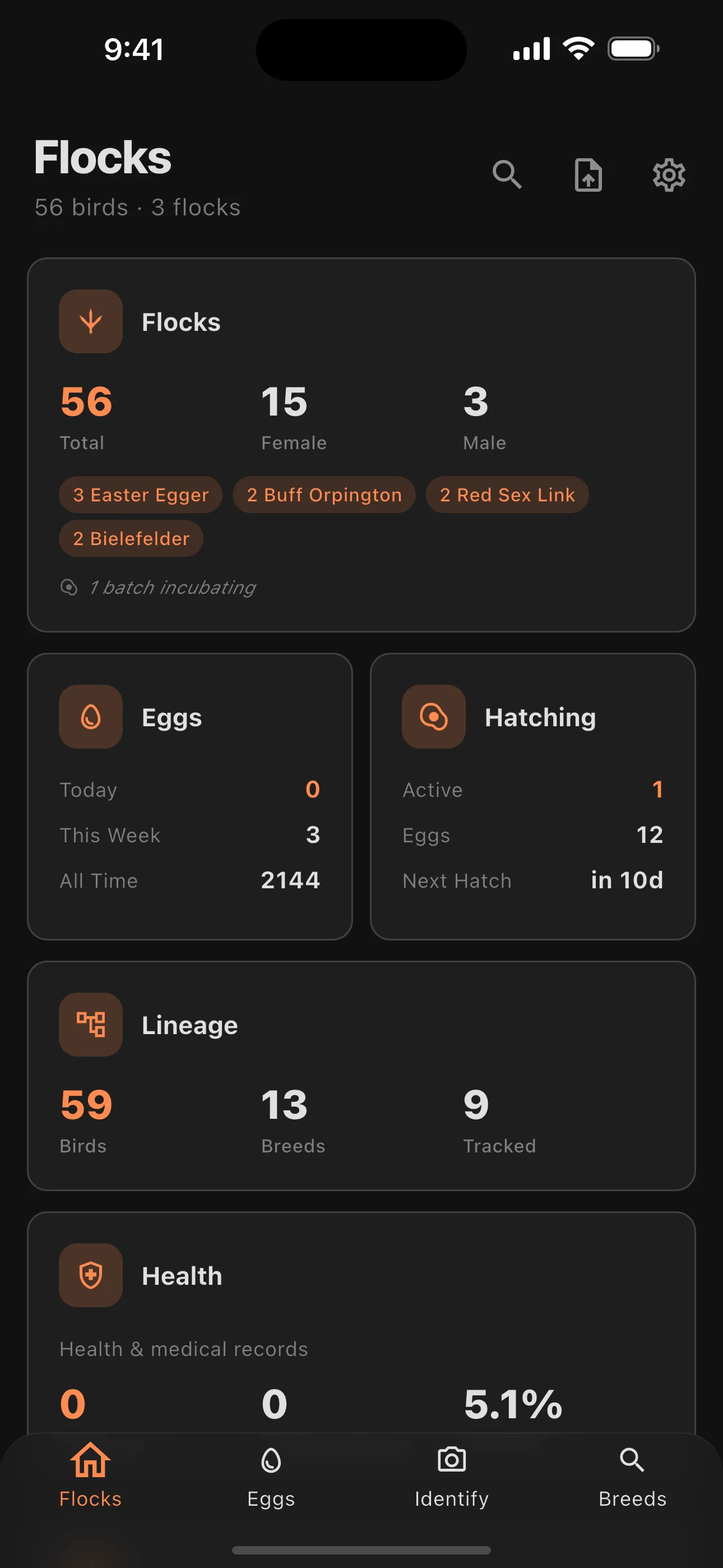 Feathrs app home screen showing coops and flock stats